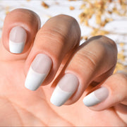 Seashell