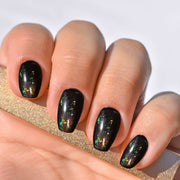 BlackNGold